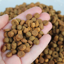 Load image into Gallery viewer, 1kg (2.20 lb) African pygmy hedgehog food mix. Hedgehog biscuit mix. Dry food mix.