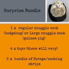 Load image into Gallery viewer, Surprise Bundle! Mystery Box! Snuggle sack and toys for hedgehogs and guinea pigs.