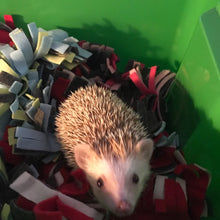 Load image into Gallery viewer, Fleece worm toy. Hedgehog toy. Toy sets in various mixed colours. Small pet toys.
