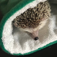 Load image into Gallery viewer, Hedgehog bath sack. Post bath drying pouch for pygmy hedgehog, guinea pig, rat and small animals.