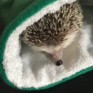 Hedgehog bath sack. Post bath drying pouch for pygmy hedgehog, guinea pig, rat and small animals.