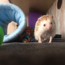 Load image into Gallery viewer, Regular stay open padded fleece tunnel. Padded tunnel for hedgehogs and guinea pigs.