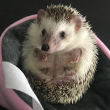 Load image into Gallery viewer, Fleece padded bonding bag, carry bag for hedgehogs. Fleece lined.