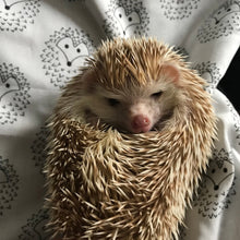 Load image into Gallery viewer, The Hoghouse snuggle sack. Sleeping bag for hedgehog, guinea pigs and small animals. Fleece lined.