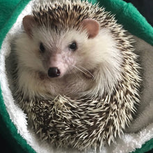 Load image into Gallery viewer, Hedgehog bath sack. Post bath drying pouch for pygmy hedgehog, guinea pig, rat and small animals.
