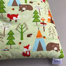 Load image into Gallery viewer, Camping animals padded bonding bag, carry bag for hedgehog.