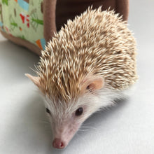 Load image into Gallery viewer, Camping animals stay open tunnel. Padded fleece tunnel. Padded tunnel