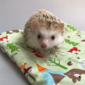 Camping animals mini set. Tunnel, snuggle sack and toys. Fleece bedding. Hedgehog fleece tunnel and pouch.