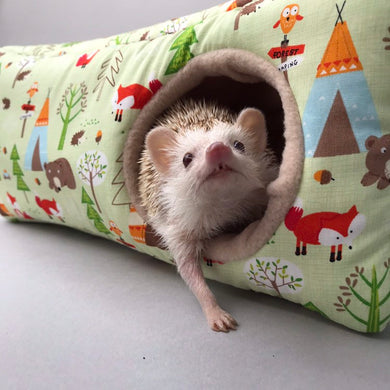 Camping animals corner house. Hedgehog and small pet cube house.