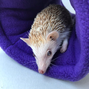 Pumpkin Halloween padded fleece tunnel. Padded tunnel for hedgehogs and small pets.