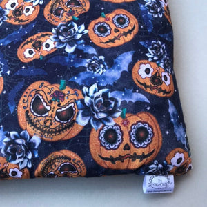 Padded pumpkin Halloween bonding bag, carry bag for hedgehog. Halloween pet tote.
