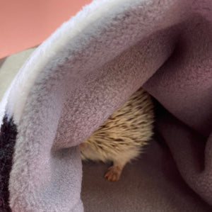 Zig Zag cuddle fleece snuggle sack, sleeping bag for hedgehogs and small pets.