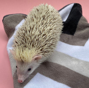 Zig Zag cuddle fleece snuggle sack, sleeping bag for hedgehogs and small pets.
