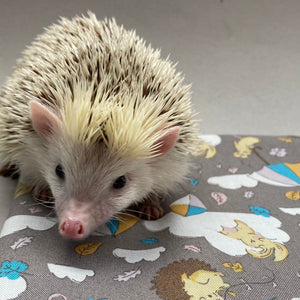 Grey Kite Hedgehog snuggle sack, snuggle pouch, sleeping bag for hedgehogs and small pet bedding.