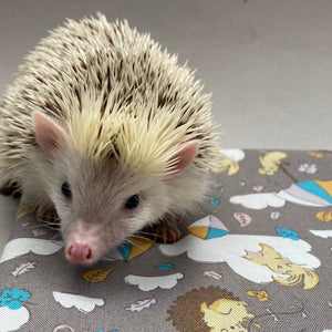 Grey Kite Hedgehog snuggle sack, snuggle pouch, sleeping bag for hedgehogs and small pet bedding.