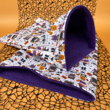 Load image into Gallery viewer, Halloween animals mini set. Tunnel, snuggle sack and toys. Fleece bedding.