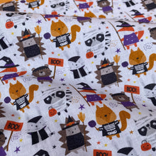 Load image into Gallery viewer, Halloween animals cover for plastic igloo. Igloo for hedgehog, guinea pig and small pets