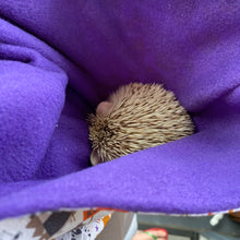 Load image into Gallery viewer, Halloween animals bonding scarf for hedgehogs and small pets. Bonding pouch.