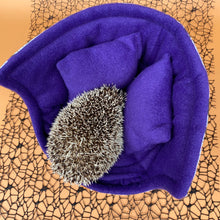 Load image into Gallery viewer, Halloween animals cuddle cup. Pet sofa. Hedgehog and small guinea pig bed.