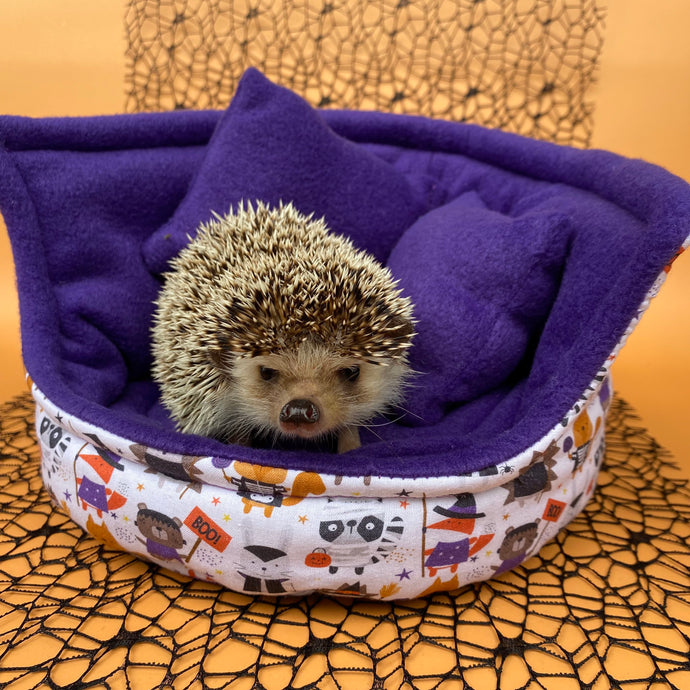 Halloween animals cuddle cup. Pet sofa. Hedgehog and small guinea pig bed.