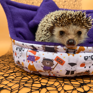 Halloween animals cuddle cup. Pet sofa. Hedgehog and small guinea pig bed.
