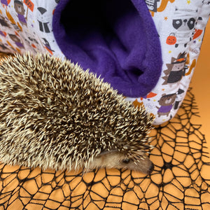 Halloween animals corner house. Hedgehog and small pet cube house.