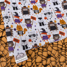 Load image into Gallery viewer, Halloween animals mini set. Tunnel, snuggle sack and toys. Fleece bedding.