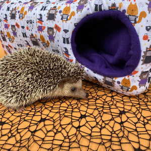 Halloween animals corner house. Hedgehog and small pet cube house.