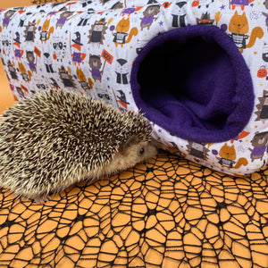 Halloween animals corner house. Hedgehog and small pet cube house.