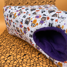 Load image into Gallery viewer, Halloween animals corner house. Hedgehog and small pet cube house.