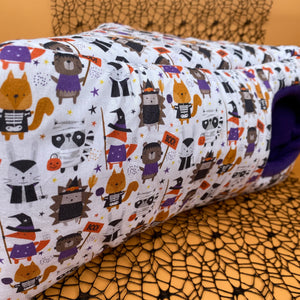 Halloween animals corner house. Hedgehog and small pet cube house.