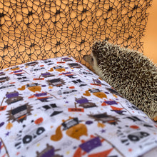 Load image into Gallery viewer, Halloween animals cosy snuggle cave. Padded stay open snuggle sack. Hedgehog bed.