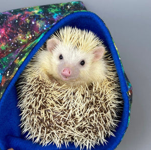 Nebula snuggle sack, snuggle pouch, sleeping bag for hedgehog and small guinea pigs.
