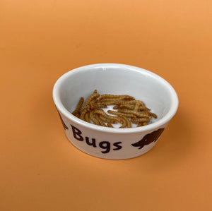 Ceramic hedgehog treat bowl. Bugs bowl for small pets. White hedgehog bugs bowl.