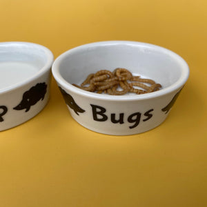 Ceramic hedgehog treat bowl. Bugs bowl for small pets. White hedgehog bugs bowl.