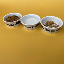 Load image into Gallery viewer, Ceramic hedgehog food, water and treat bowls. Hedgehog noms, slurp and bugs bowl