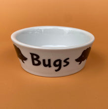 Load image into Gallery viewer, Ceramic hedgehog treat bowl. Bugs bowl for small pets. White hedgehog bugs bowl.