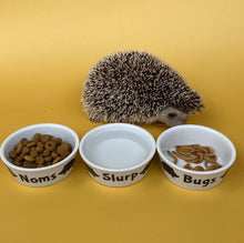 Load image into Gallery viewer, Ceramic hedgehog food, water and treat bowls. Hedgehog noms, slurp and bugs bowl