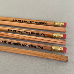 Hedgehog pencils. Wooden unsharpened pencils. Ask me about my Hedgehog pencil.