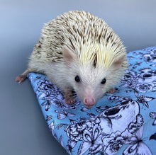 Load image into Gallery viewer, Vintage Floral Skulls snuggle sack, snuggle pouch, sleeping bag for hedgehogs.