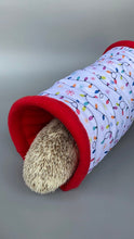 Load image into Gallery viewer, LARGE festive lights full cage set. LARGE house, snuggle sack, tunnel set.