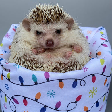 Festive lights mini bean bag photo prop