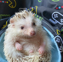Load image into Gallery viewer, Gamer snuggle sack. Fleece lined sleeping bag for hedgehogs and small animals