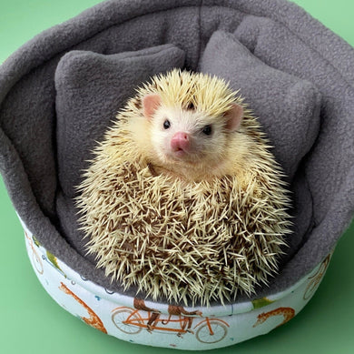 Off to the races cuddle cup. Pet sofa. Hedgehog bed. Small pet beds. Fleece sofa bed.
