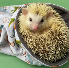 Load image into Gallery viewer, Off to the races mini set. Tunnel, snuggle sack and toys. Fleece bedding.