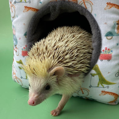 Off to the races cosy cube house. Hedgehog and guinea pig cube house.