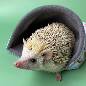 Off to the races mini set. Tunnel, snuggle sack and toys. Fleece bedding.