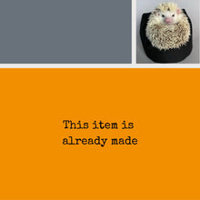 Load image into Gallery viewer, A6 Summer hedgehogs note book. 48-page with full colour hedgehog cover.