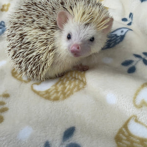 Hedgehogs cuddle fleece handling blankets for small pets. Fleece lap blankets.