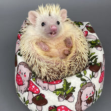 Load image into Gallery viewer, Cream Hedgehogs with Mushroom Hats mini bean bag photo prop